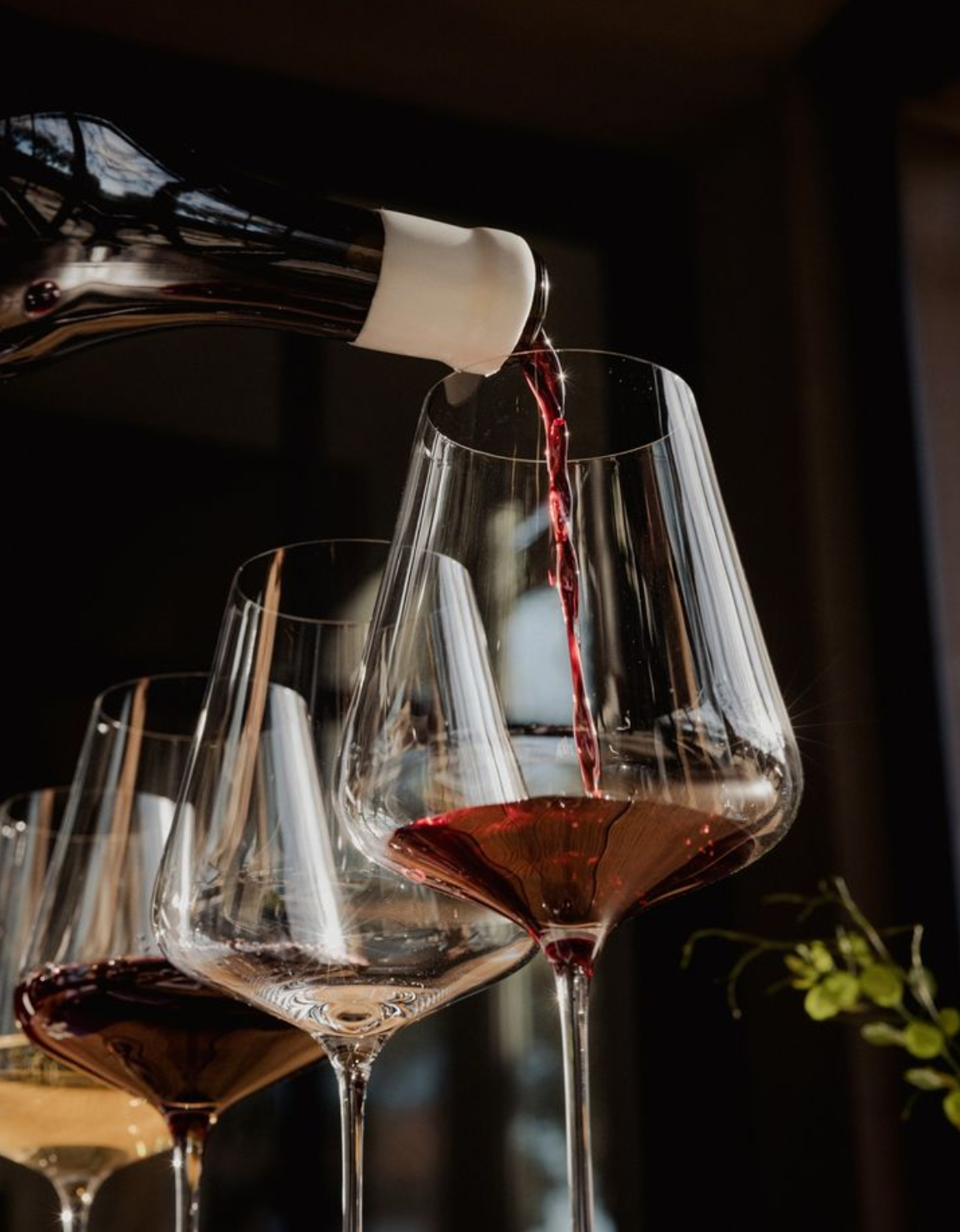 Bordeaux Stemware collection